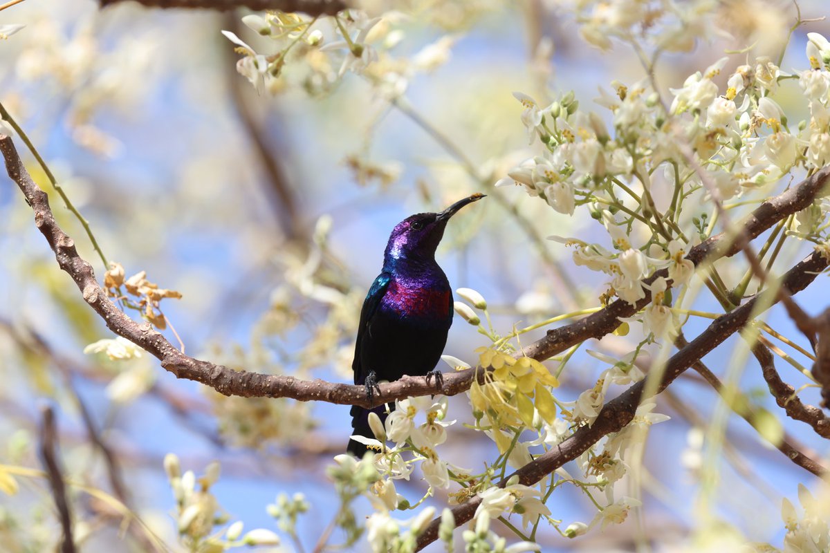 Ruth Watson tweet media