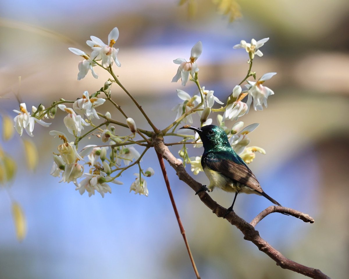 Ruth Watson tweet media