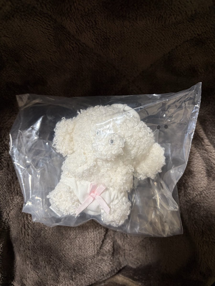 交換　じょせまる　ぬいぐるみ

【譲】　おぱんつ

【求】　黒

郵送交換希望です。
お気軽にお声掛けください🙇🏻‍♀️