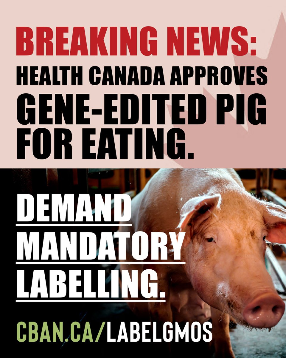 Cdn Biotech Action tweet media