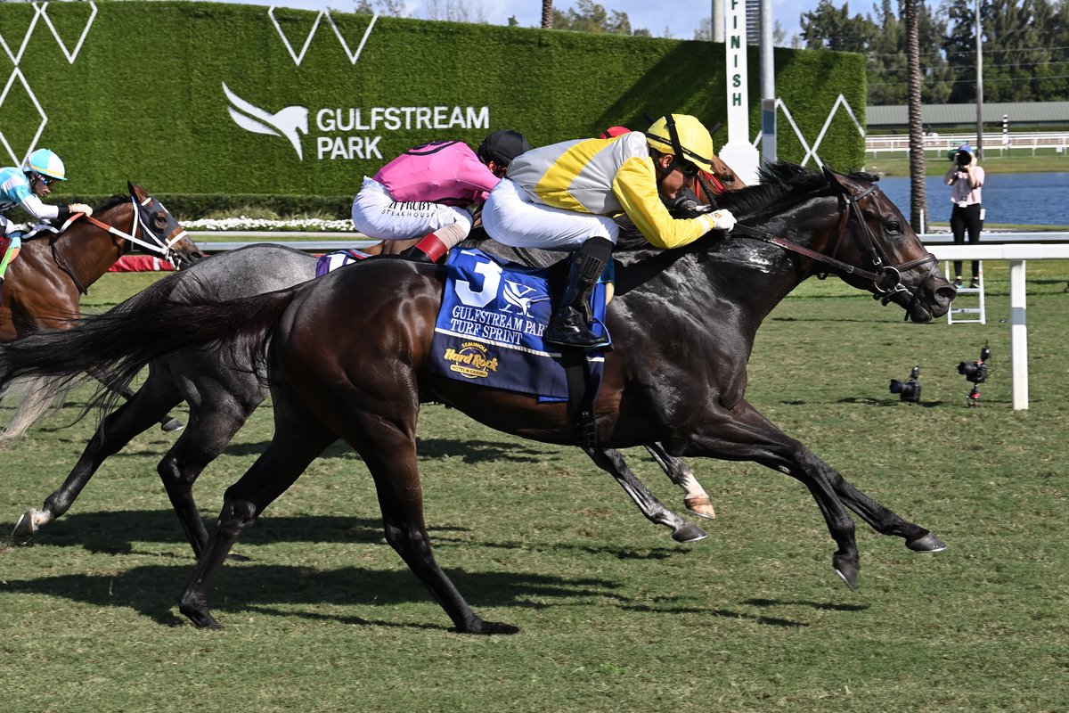 Pegasus World Cup tweet media