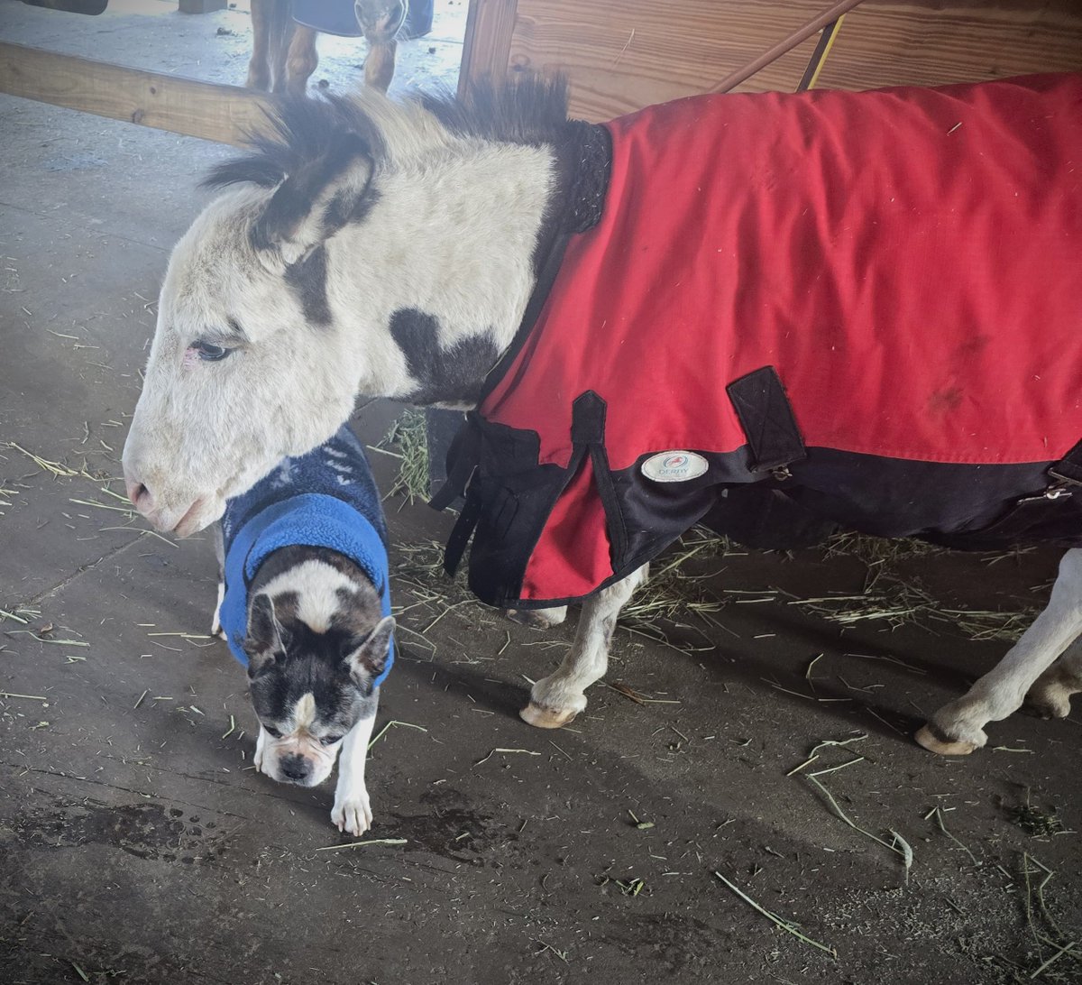 Lia Meadows tweet media