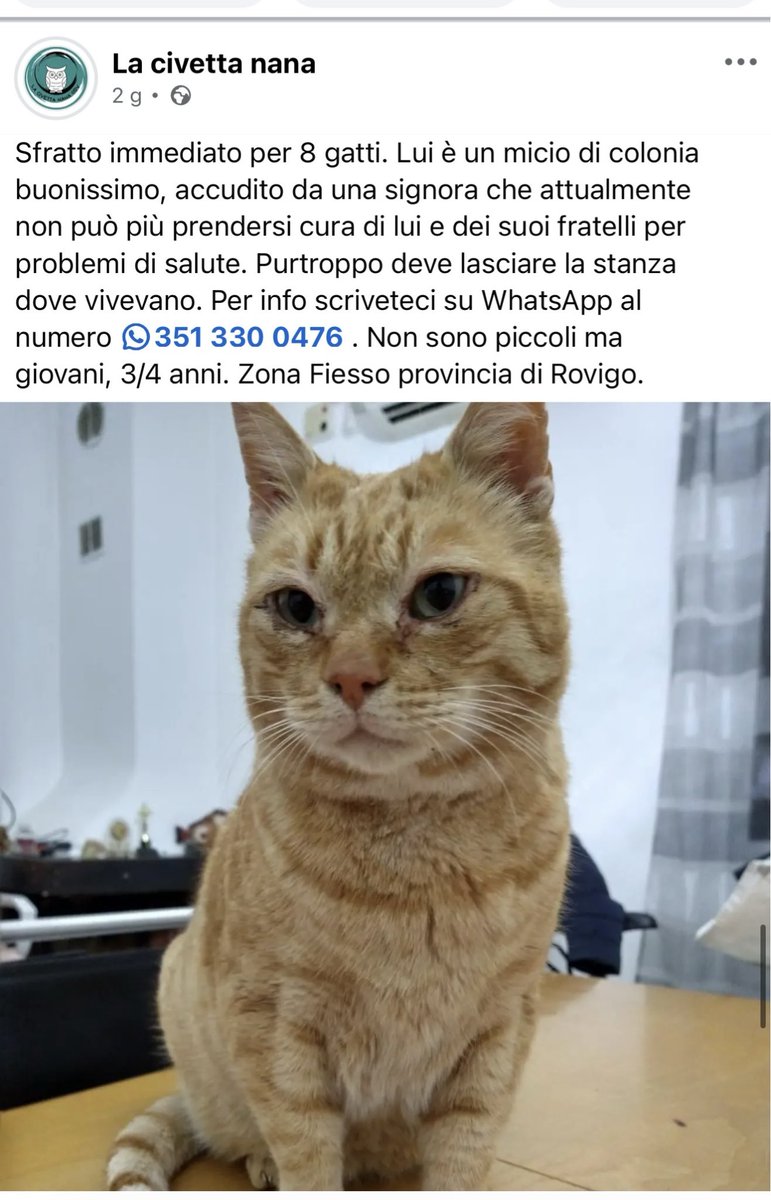 STRAURGENTISSIMO 🆘🆘🆘🆘🆘🆘🆘🆘🆘🆘🆘🆘🆘🆘🆘🆘🆘🆘🆘🆘🆘🆘🆘🆘🆘🆘🆘🆘🆘🆘🆘🆘🆘🆘🆘🆘