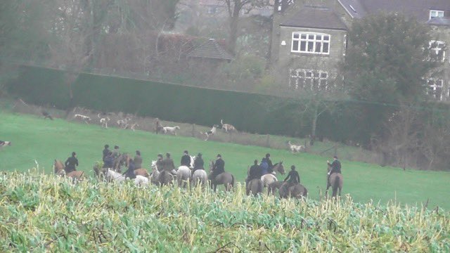 Dorset Hunt Monitor tweet media