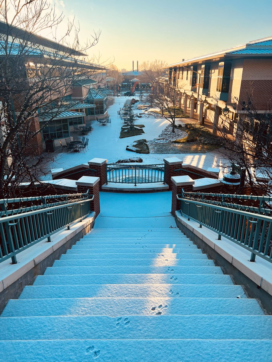 OSU-Tulsa tweet media