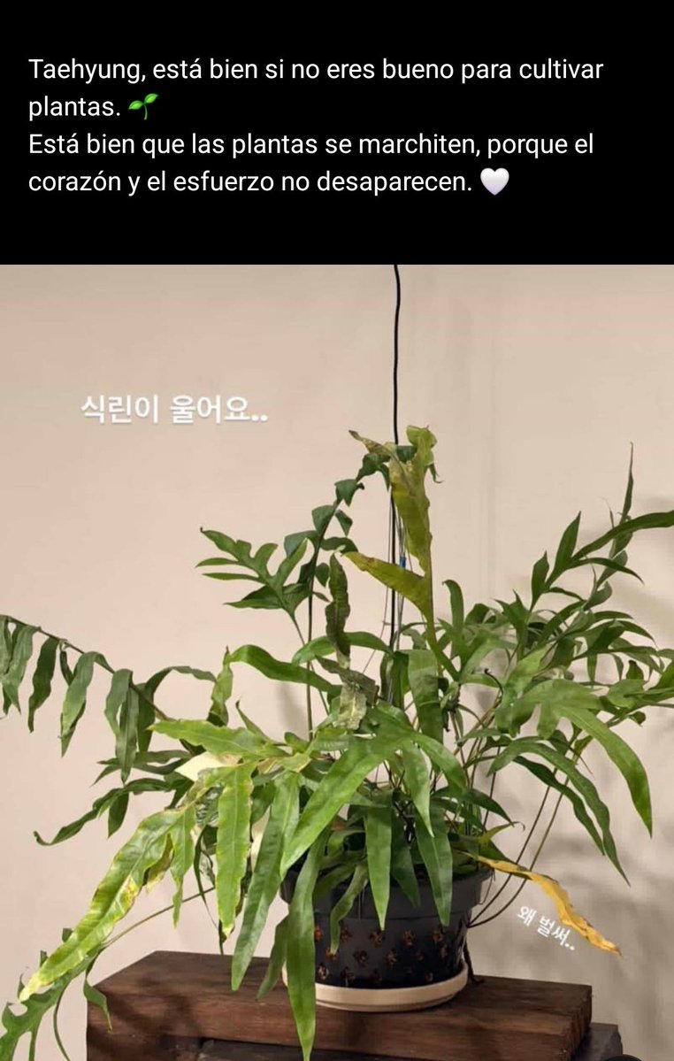 kichitaee's tweet image. no saben la carcajada que solté JAJAJAJAJAJAJAJAJ