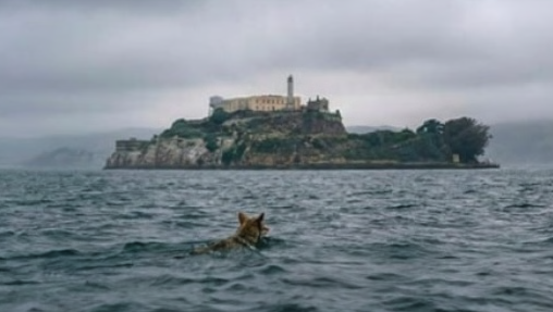 Crypto Ninja🥷 tweet media