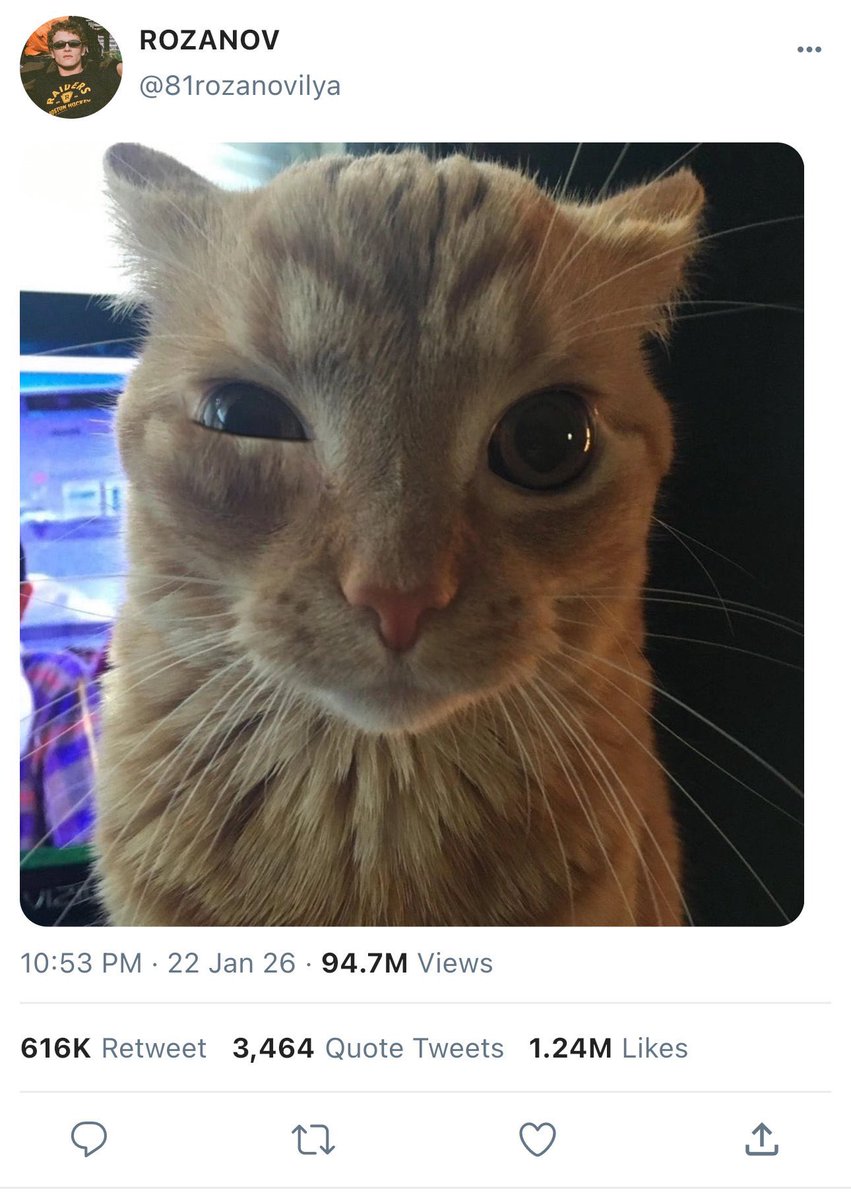 Lucilfer tweet media