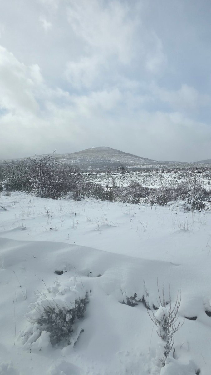 Buen paquetón en la Sierra Norte de #Guadalajara, así amanece #Majaelrayo
<a href="/tiempo_guada/">Meteo Guada ☀️🌧️🌩️🌨️</a>