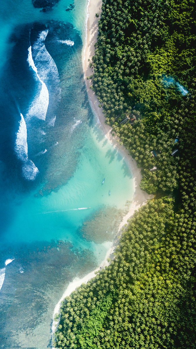 BlueOcean3276's tweet photo. 🌴 https://t.co/eyFG5pJV7g
