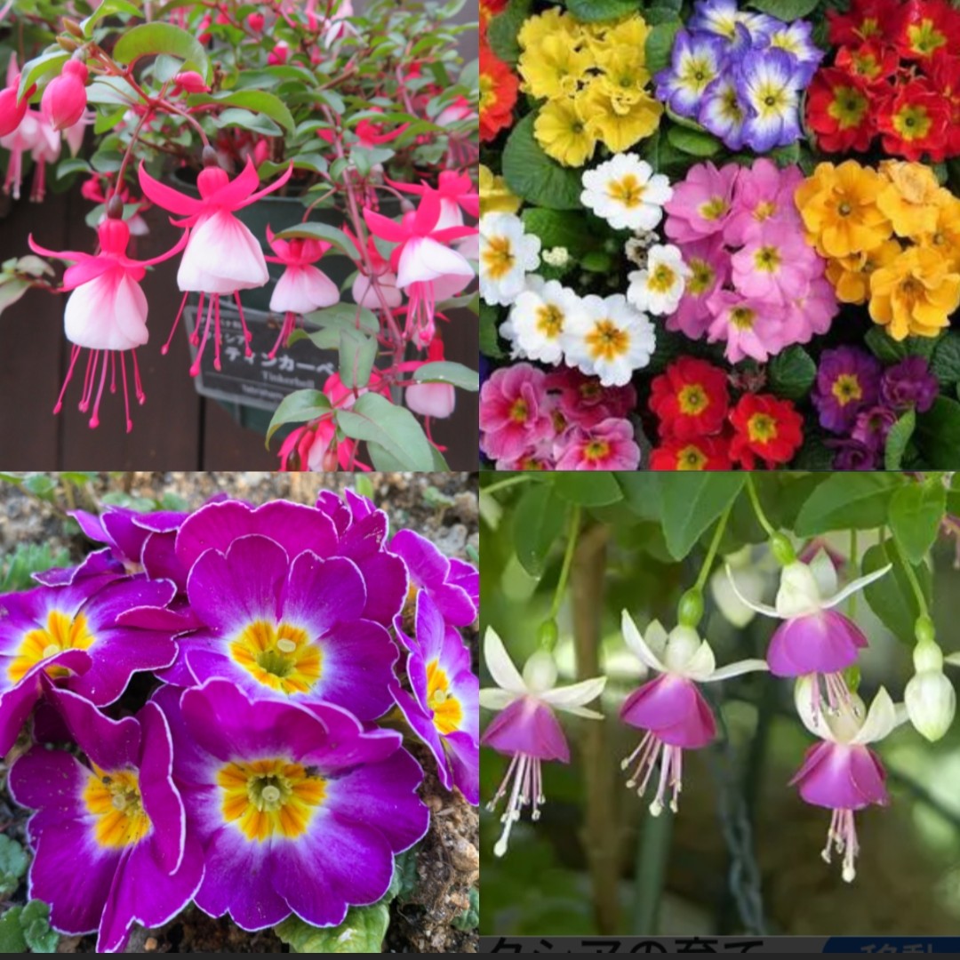 RT @DhncX7TL9TlTAB2: おはようございます。 いつもありがとうござい