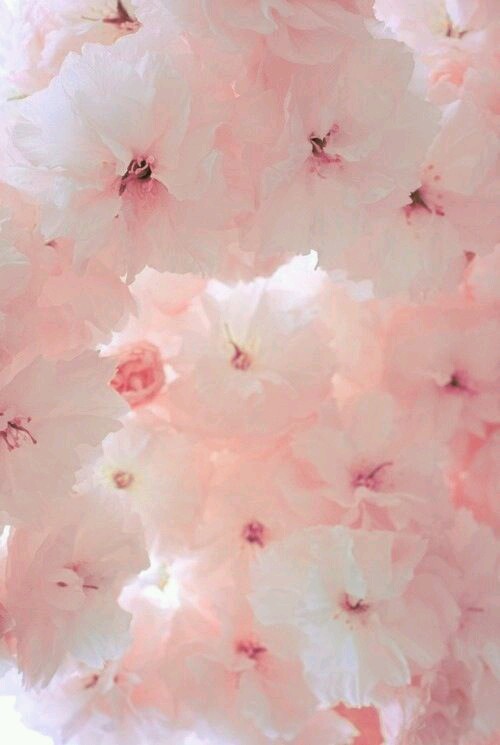 Marshmallooppai's tweet photo. #japanese #asian #interracial #wfam #amwf #婚外 #年下 #年上 #関東 https://t.co/zGJEDT2SZV