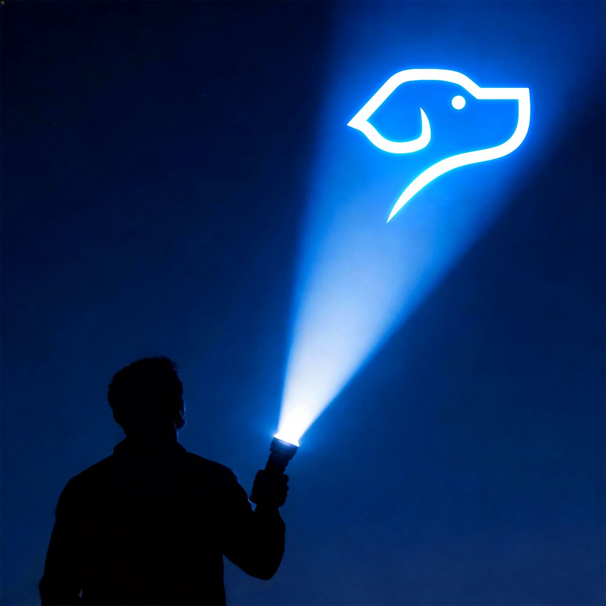 DexExpressApp's tweet image. When the market feels noisy and unclear, Dex.Express helps you see the signal and act.