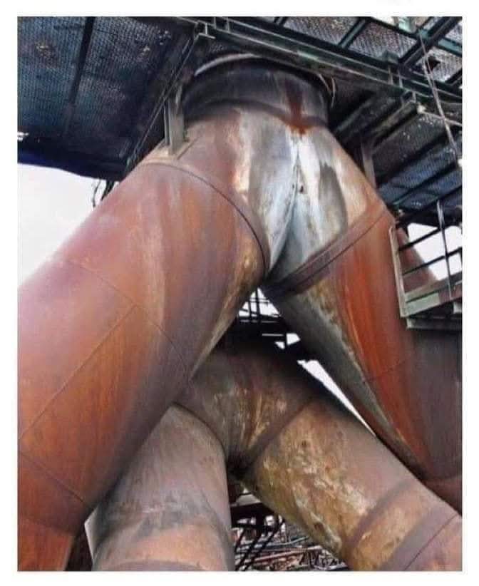 The erotic adventures of Tranzor Z 😆😆