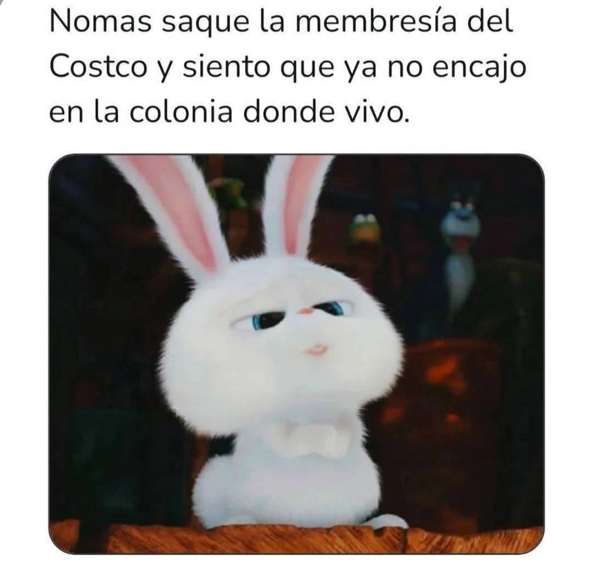Regia1968's tweet photo. Soy #costco https://t.co/3egS9D9W5j
