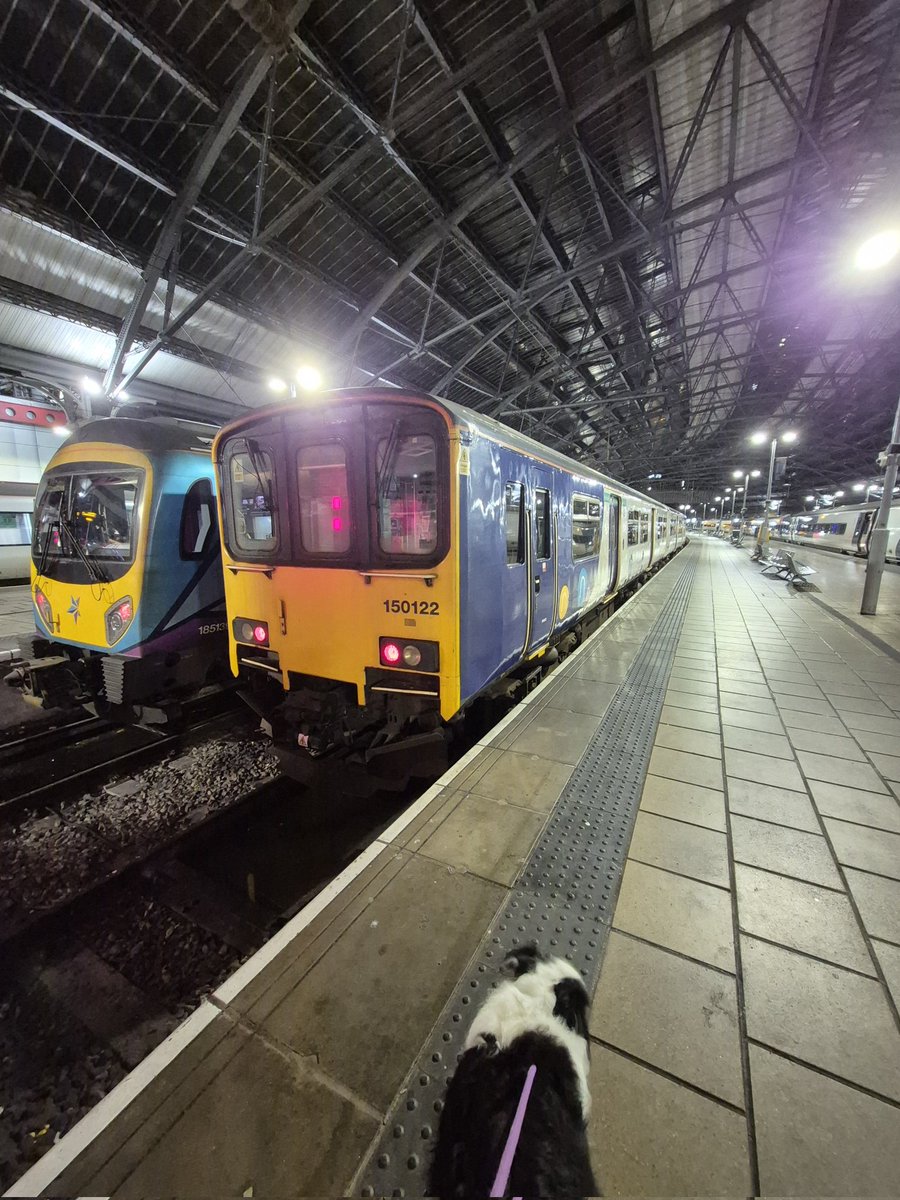 Westfield113594's tweet image. 150 122 next to 185 139/ 185 102 ar Liverpool Lime Street on 17th January 2026 my pic. Bailey seems keen to get on 150!

#Class150 #getthembeforetheyaregone #Class185 #LiverpoolLimeStreet #ukrailways