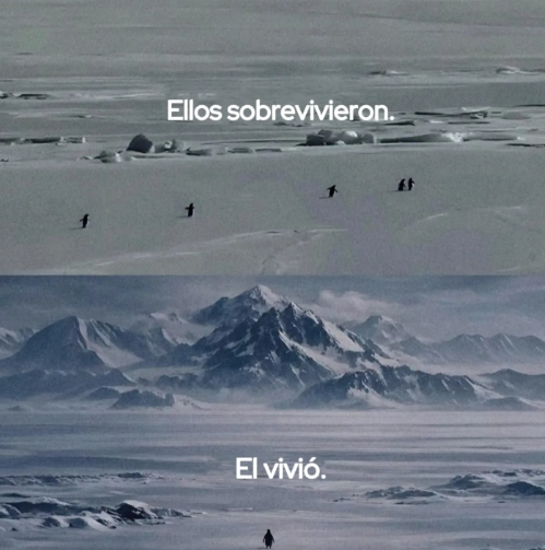 GordoEmperador's tweet image. 