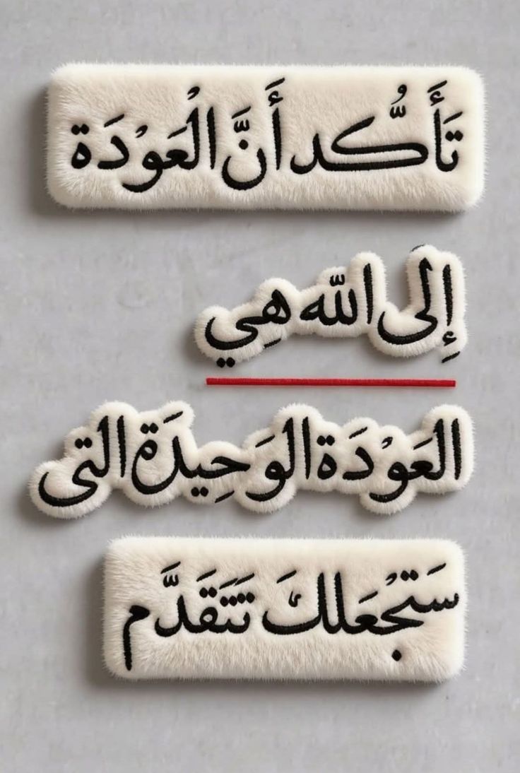 عمر بن الخطاب tweet media