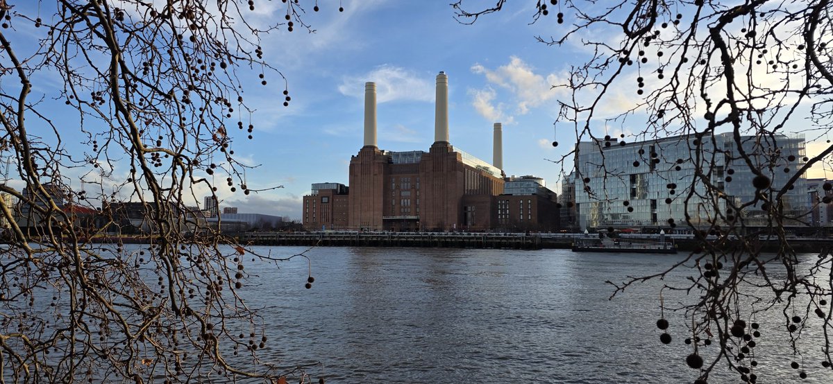 Stuart Baxter👹🇬🇧🦬🐅 tweet media