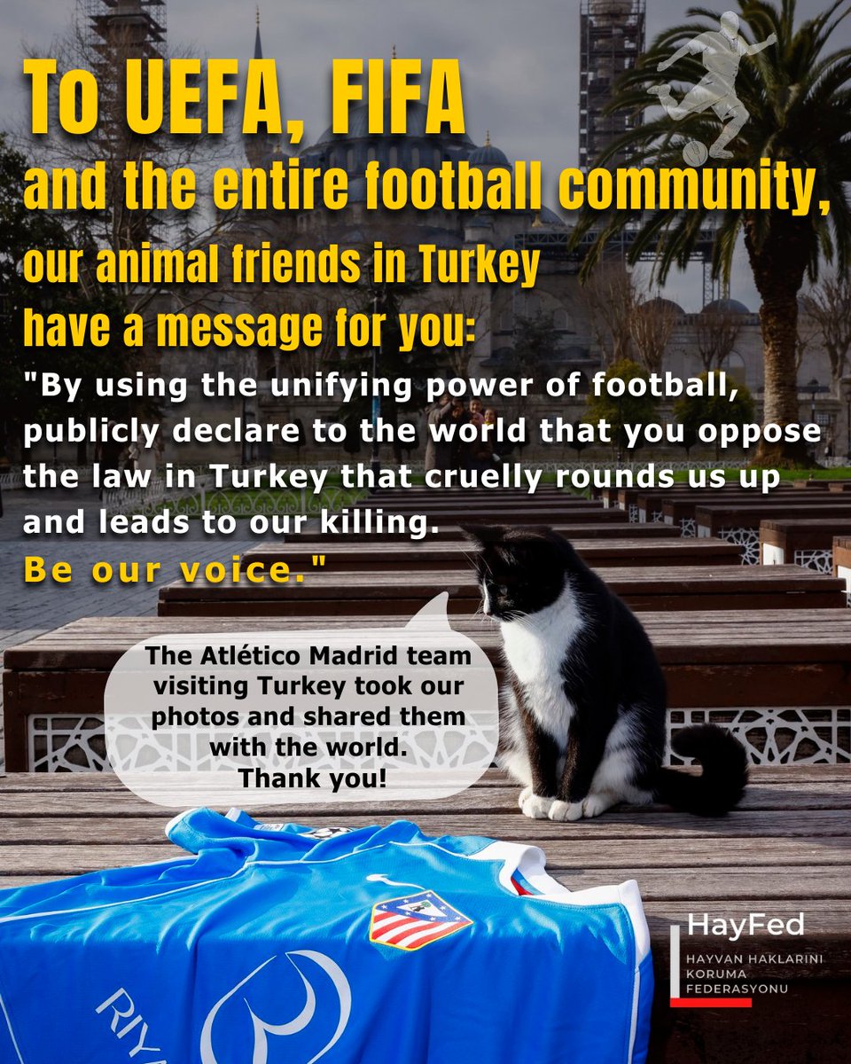 Hayfed_Official's tweet photo. To UEFA, FIFA and the entire football community, publicly declare to the world that you oppose the law in Turkey that cruelly rounds up and kills animals. Be their voice. ++
@ChampionsLeague @FIFACF @atletienglish @Atleti @AtletiEnglish @atleticodemadrid @ArdaTuran @antogriezmann https://t.co/BNlrgYpO6D