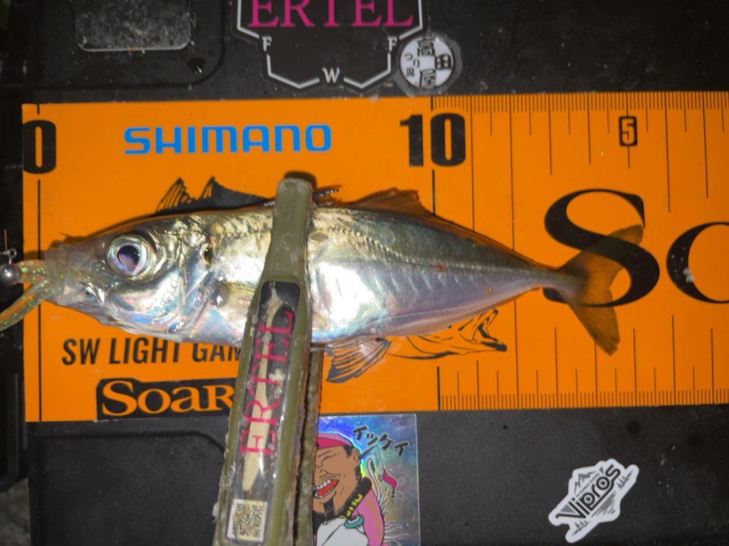 #アジング🎣
アジを釣りたい衝動が限界を迎え遠出🚗
風はまあまあでしたがやれんことはない！
0.8g Sフックに 
#ERTEL #プロキシマロング
最近はサイズ関係無くロング投げてます☺️
反応ある無しが手っ取り早いですからね😆小さなのアジもしっかりと
フッキング出来ますよ🥰
＠ERTEL_official 
#pr