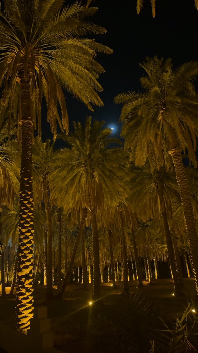 LamaaAlmarshad's tweet photo. صير لي قمر ما عمره خان الليل وغابّ ✨ https://t.co/yBY77oMY1U