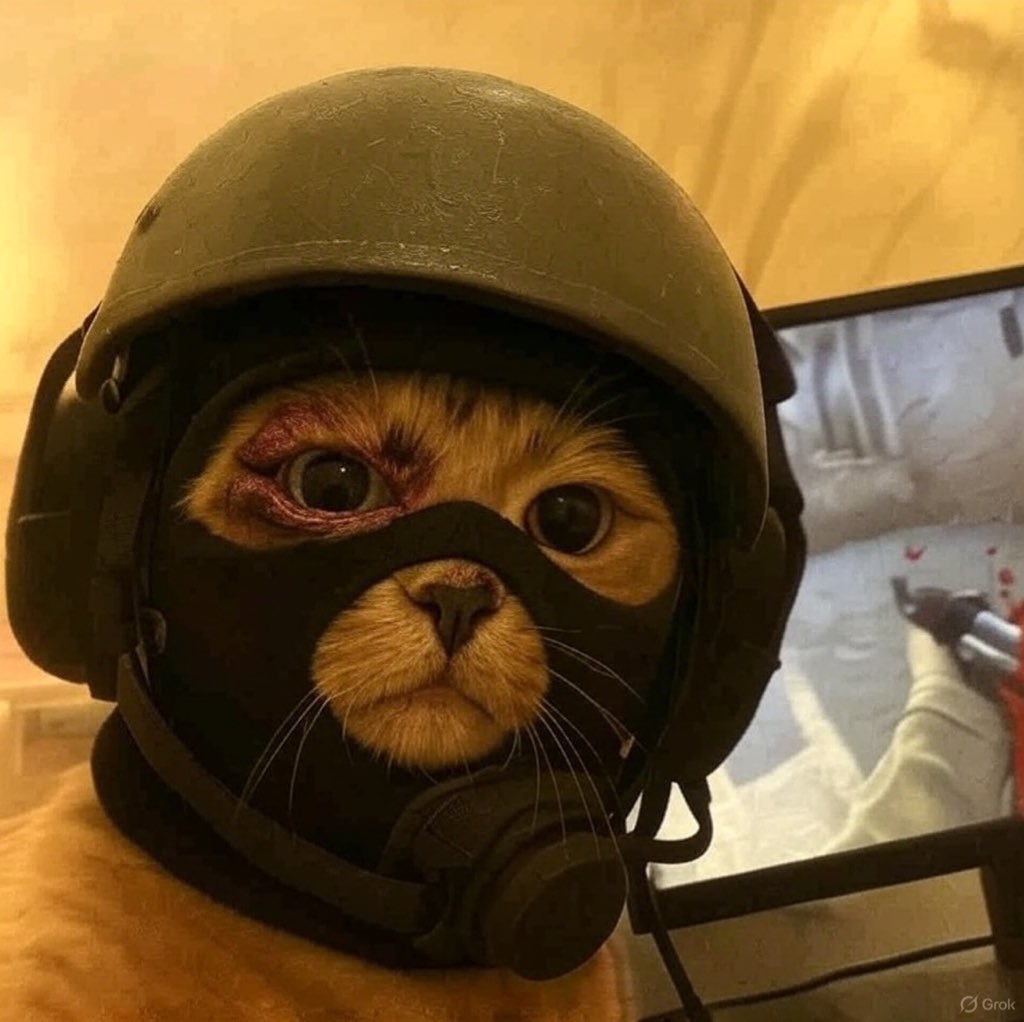 If you have trouble aping a coin that is going down just remember your bid could be the start of the reversal