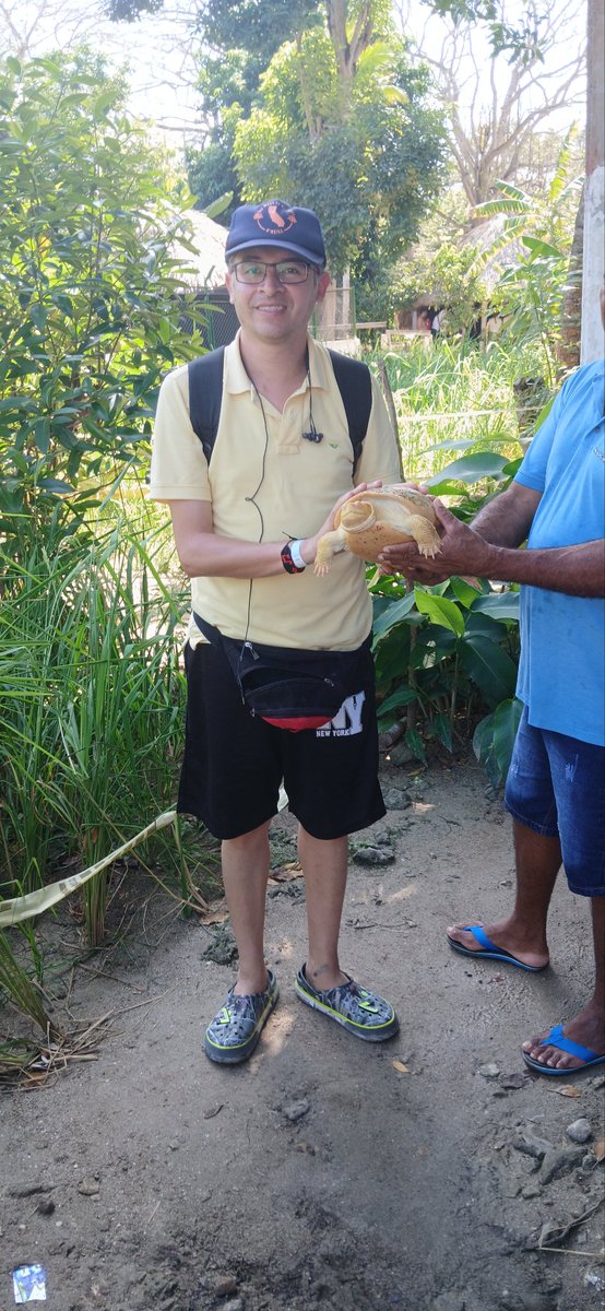 camaverrys77's tweet photo. Avistamiento de reptiles #Carpinloro https://t.co/AMtDrLjBhn