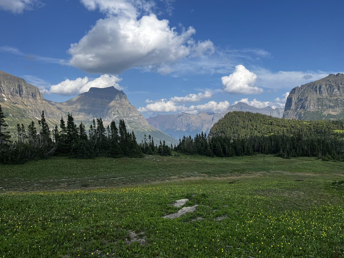 R2DPodcast's tweet image. What is your favorite national park?

Glacier