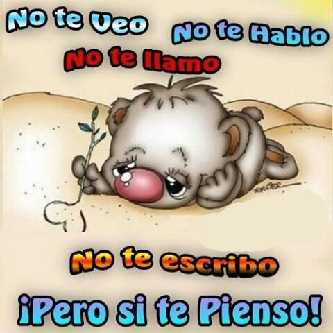 verotadeidad's tweet image. 