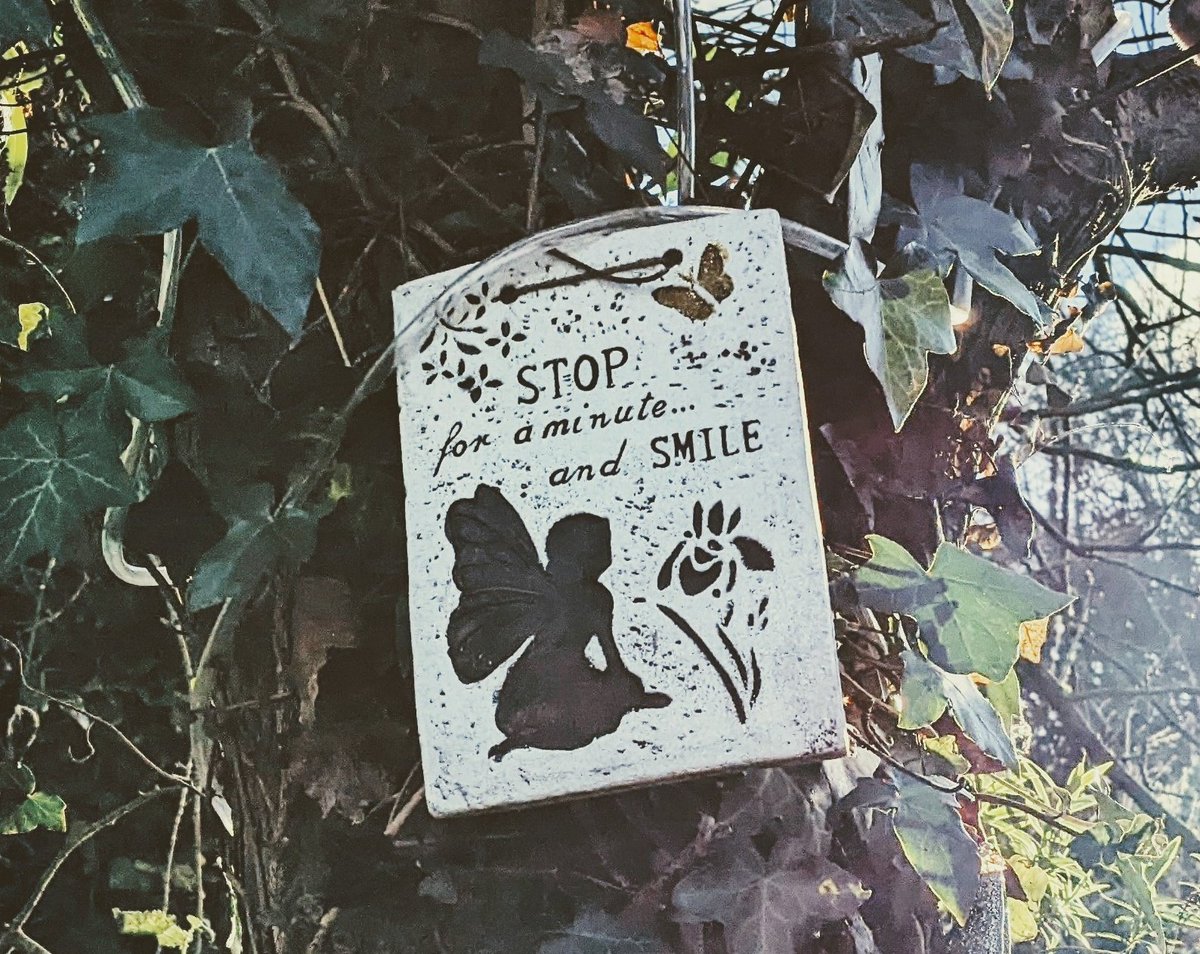 BobekMelanie's tweet photo. Day 24 - Out and back just before the rain ☔ and came across this nice little poster #100daysofwalking🚶‍♀️ https://t.co/3Iz5VJeAyR