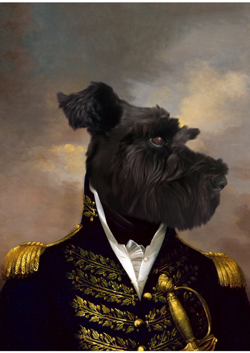 Richard Biram tweet media