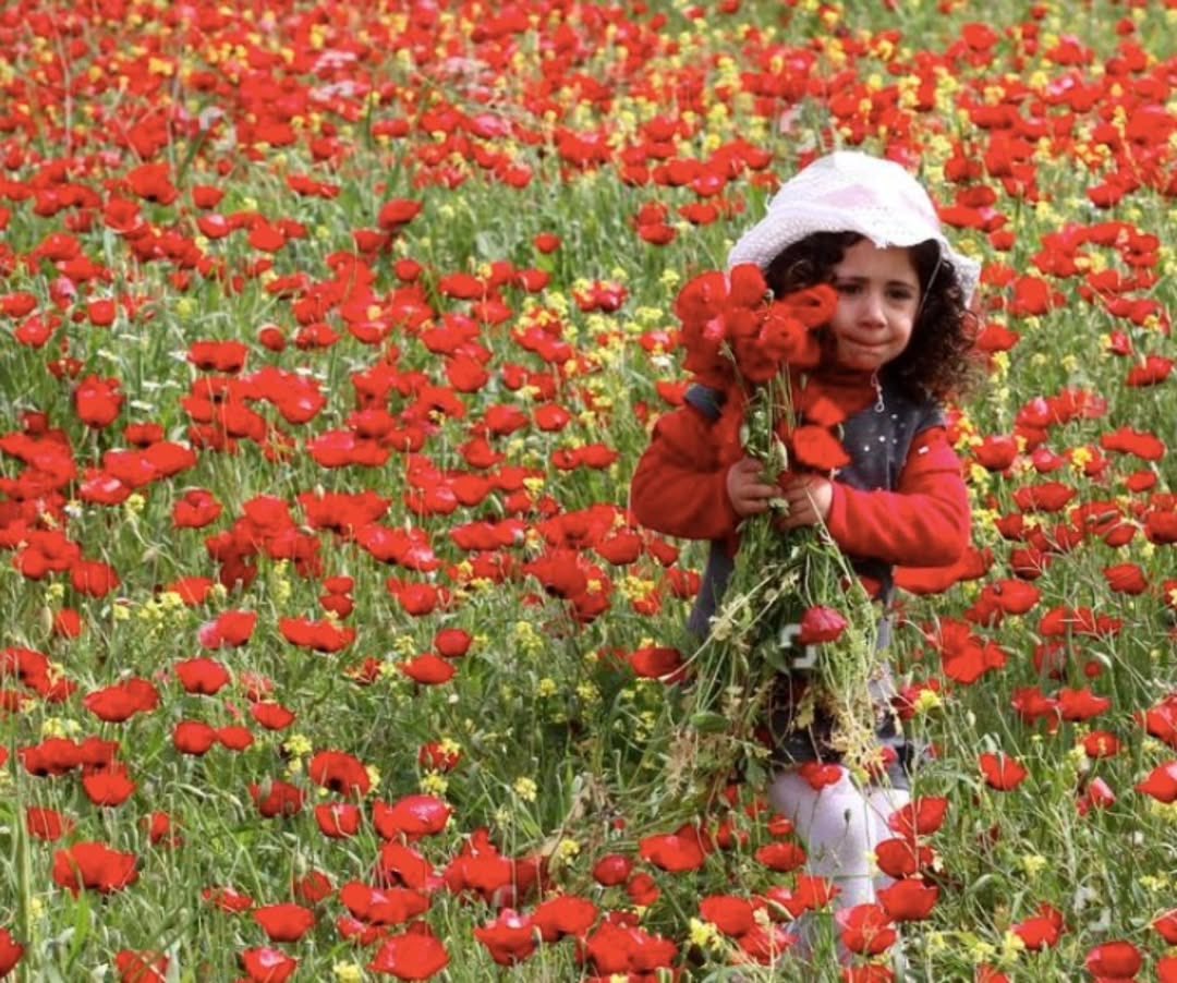 Ebrar Akbulut tweet media