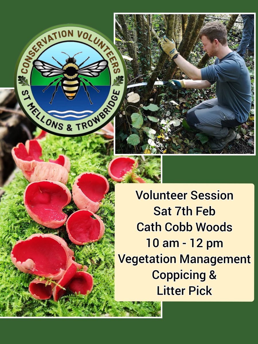 Conservation Volunteers St Mellons & Trowbridge tweet media
