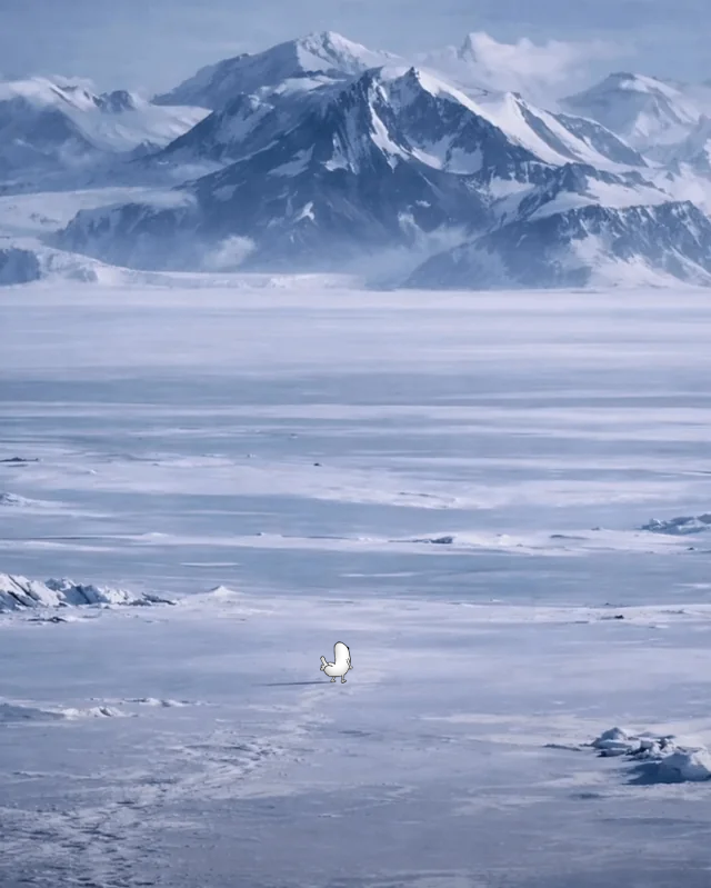 Dickbutt (@dickbuttcto) on Twitter photo 