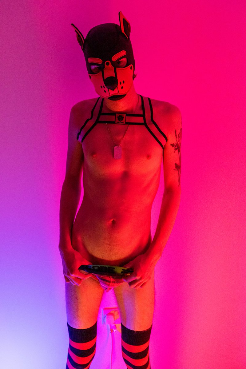 pupblitz's tweet photo. About to take it out 😇

📸@that_pup_max https://t.co/Jmbl2yUYLy