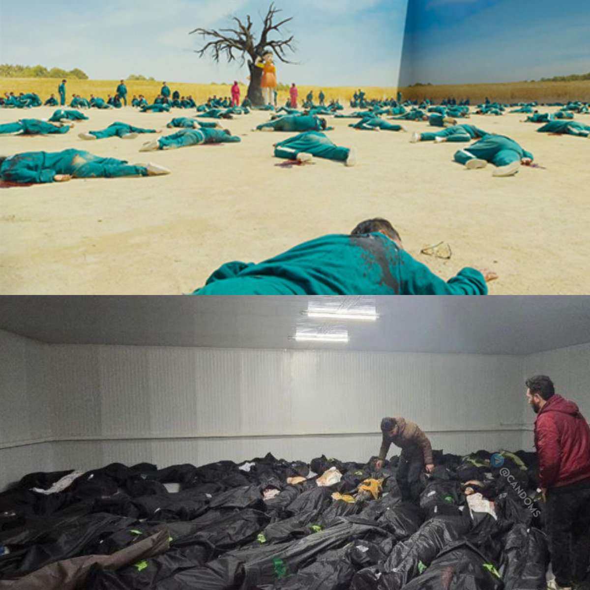 Squid game(2021)
Islamic Republic(2026)