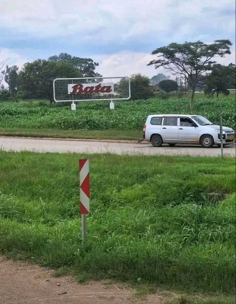 Necaz Zim tweet media