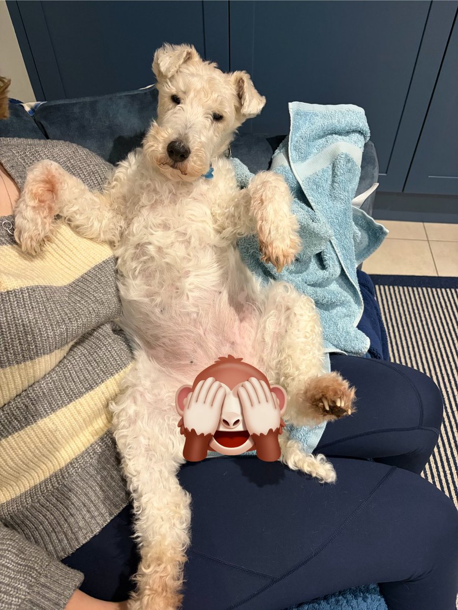 Big Nell showing off her pink tum tonight 💕