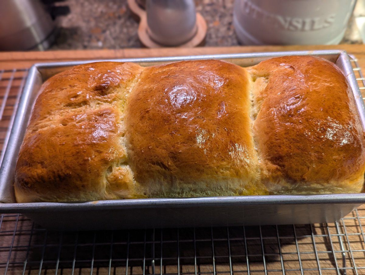 Todd Sharp tweet media