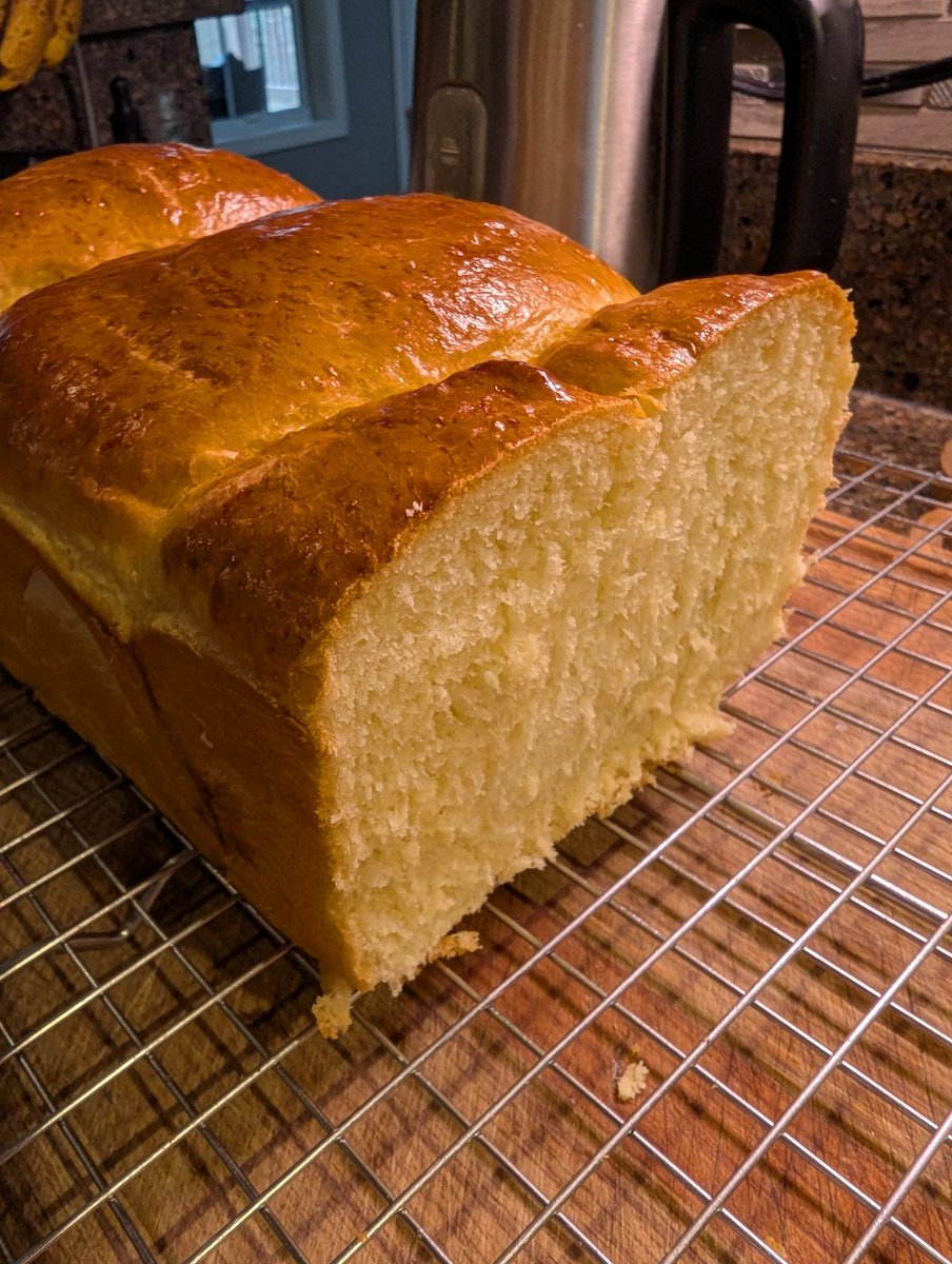 Todd Sharp tweet media