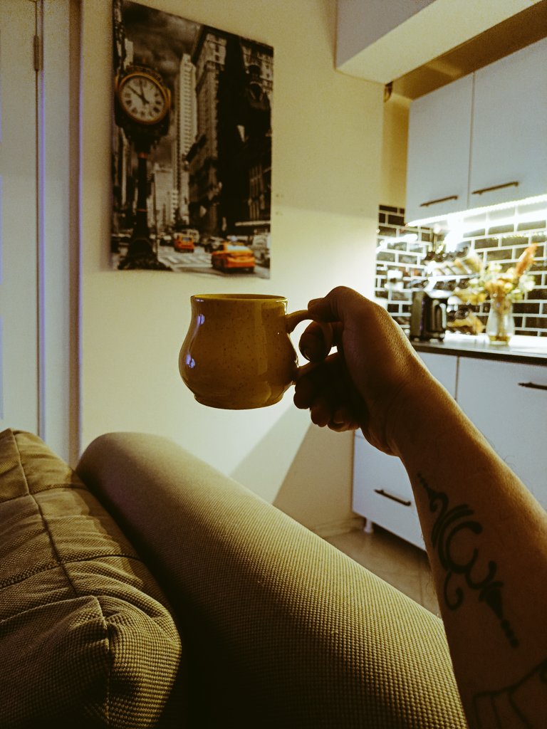 Ne demişti şair,
Biz insanları,bize gösterdikleri ilk hallerini sevmeyi çok sevmiştik..