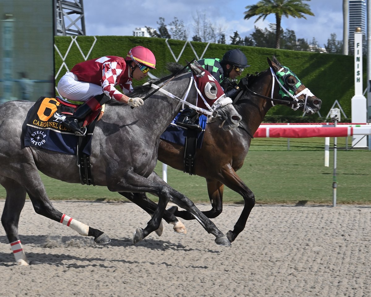 Pegasus World Cup tweet media