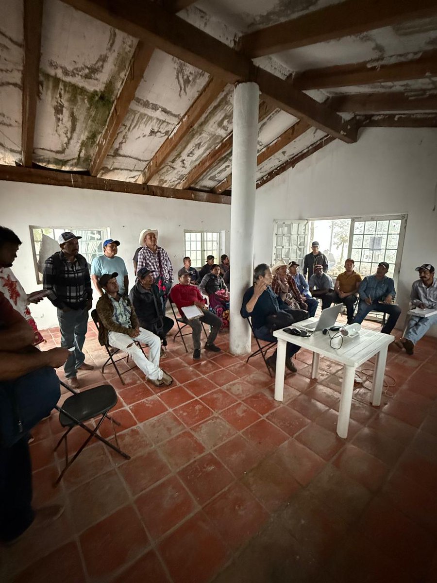 JoseOsio1168463's tweet photo. Investors want transparent, low‑risk carbon credits and Dimitra’s work in Nayarit, Mexico delivers. Digital monitoring, blockchain traceability, and community governance make every credit verifiable and built for long‑term value. #DMTR #DMTRTeam #dimitratech  #CryptoForGood https://t.co/PHO4ZkbQX9