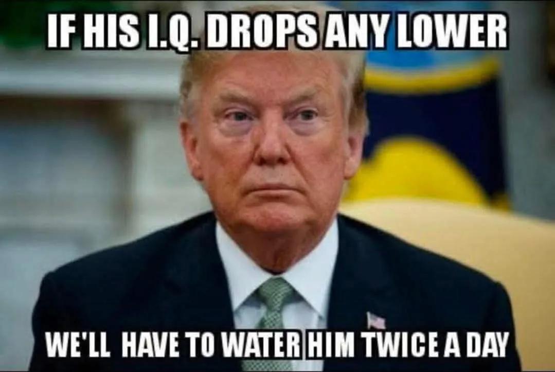 OliverBodensee's tweet image. Ist das schon als Beleidung für Pflanzen zu werten? #IQ #insult #Dunold