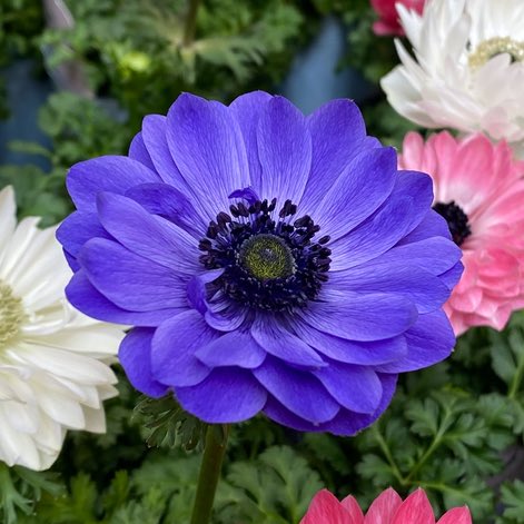 ひろみ 🦋 (@u90pVKxMdO9ffre) / Posts / X