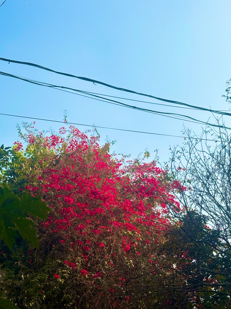 joonprds's tweet photo. 🌳☀️🌸 #lifetwt #archivetwt https://t.co/pX65QsYpt4