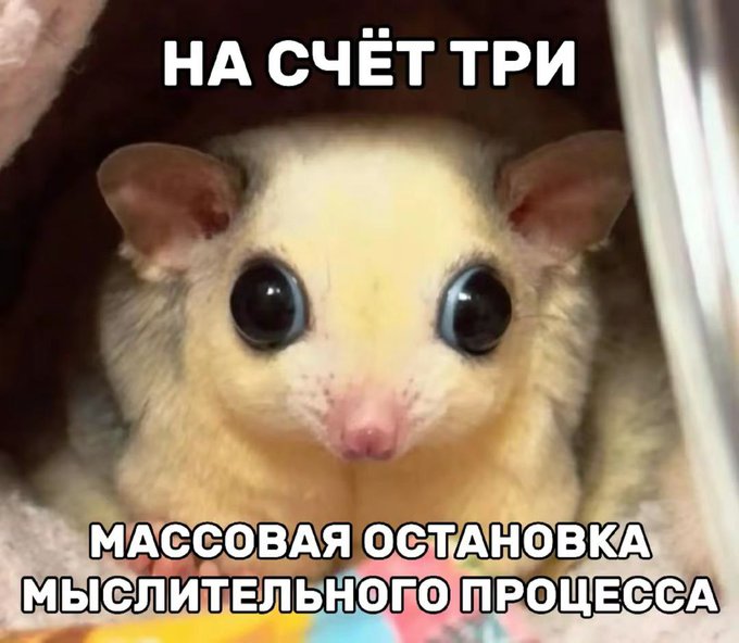 Классицизм и диспансеризация (@hagnir) on Twitter photo 