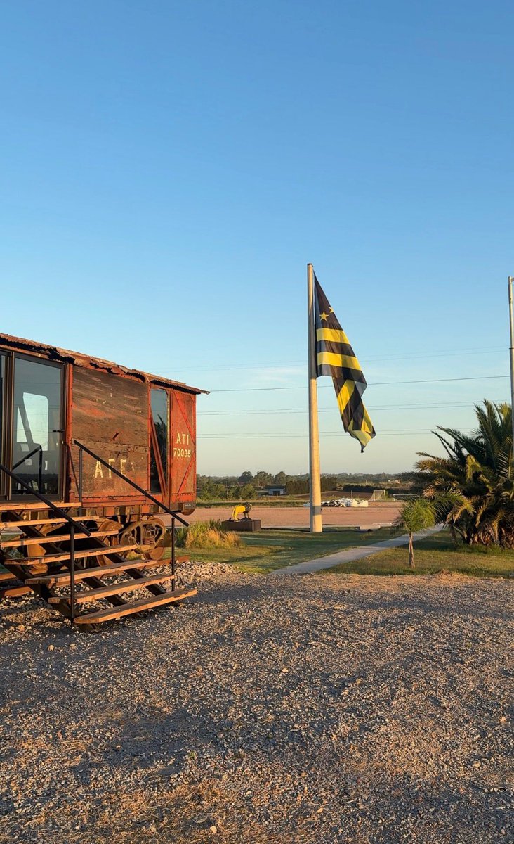 PEÑAROL CREADORES tweet media