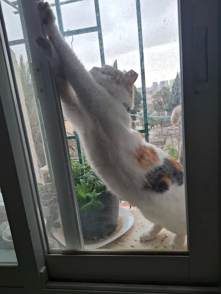 אפשר לעזור לך?